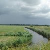 Tour 14: Darß - 3